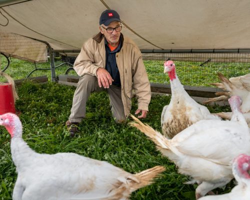 Nevin Mast-3 (1) Nevin Mast-3 (1)
