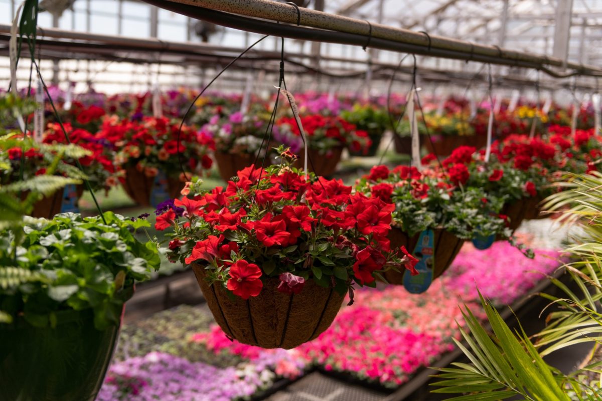 Levengoods-25
