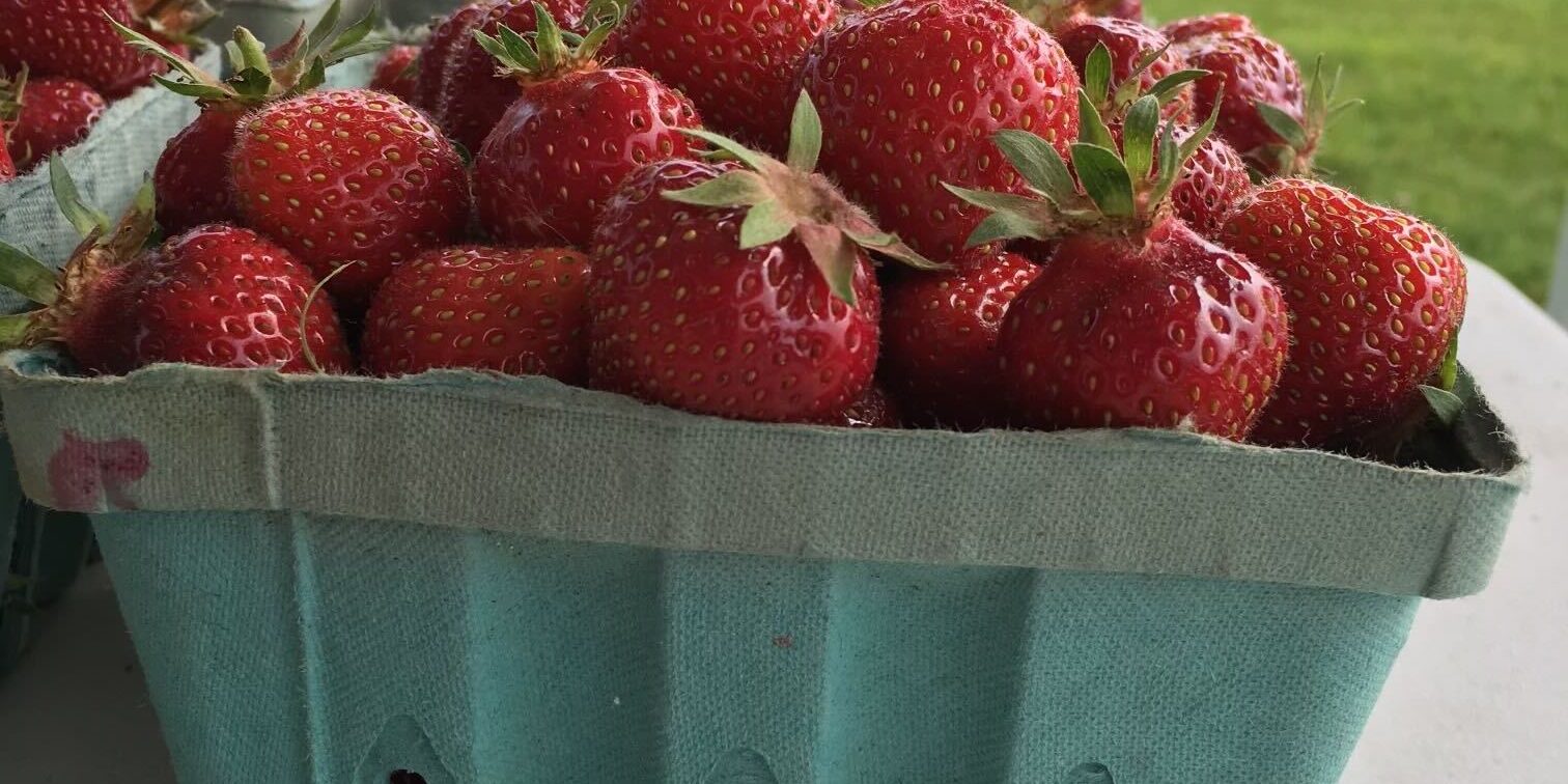 img_7303 (1) Basket of strawberries at a pick-your-own farm in Berks County.