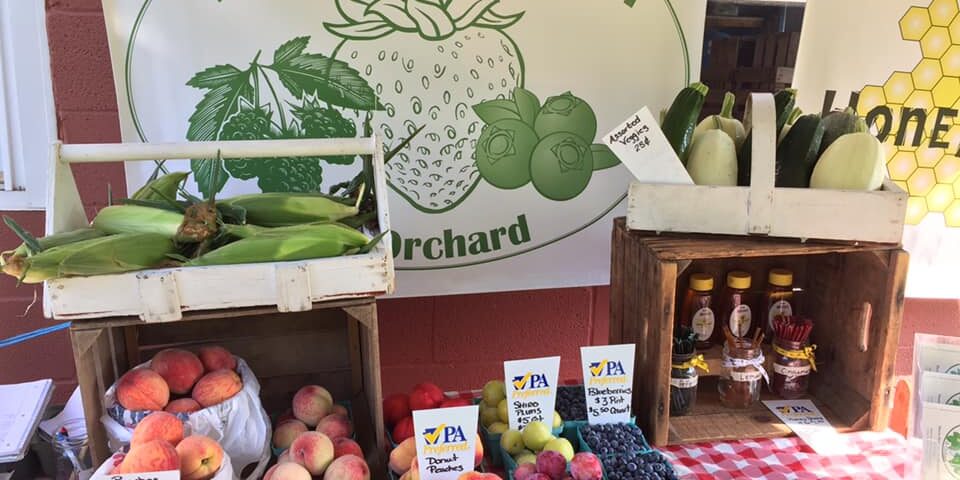 The-Berry-Farm-and-Orchard