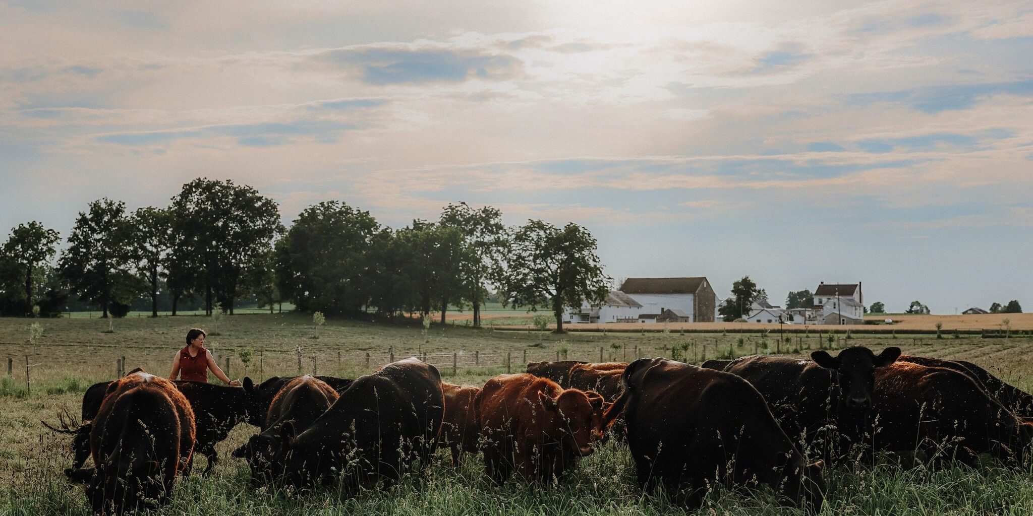 Willow Run Farm