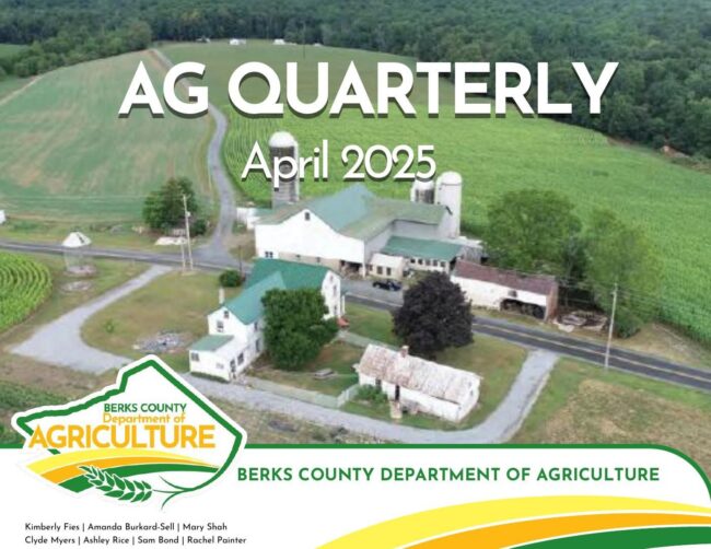 Aq quarterly April 2025