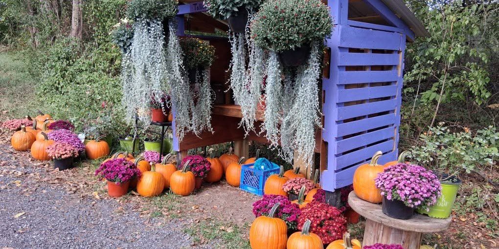 The Purple Farmstand